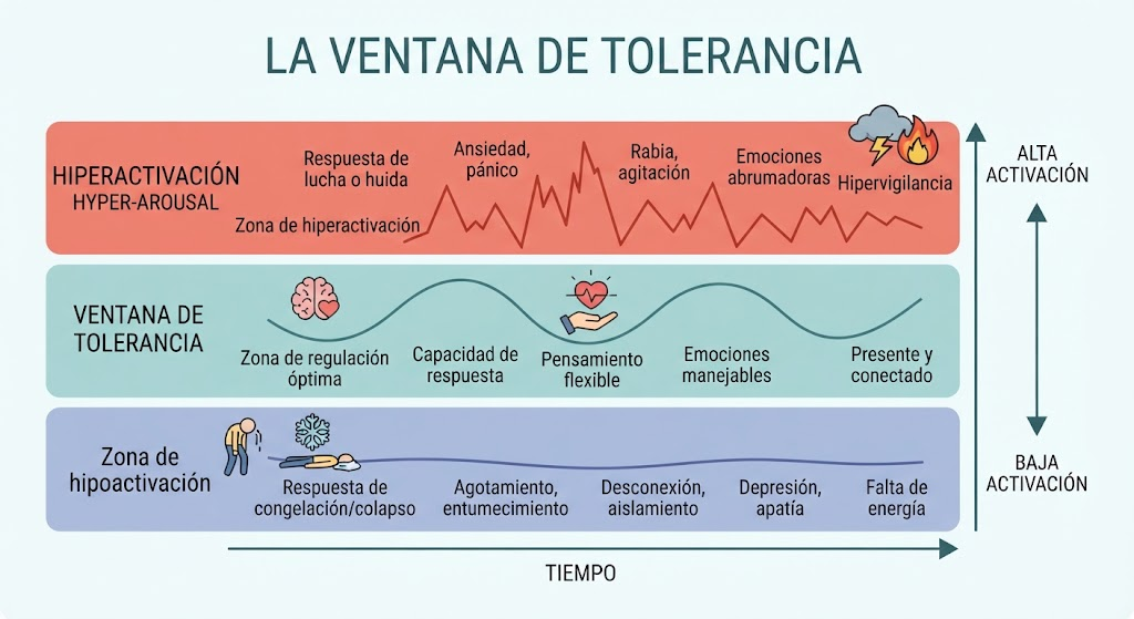 La ventana de tolerancia y redes sociales. Agosto 2026. 2 La ventana de tolerancia y redes sociales. Agosto 2026. 1